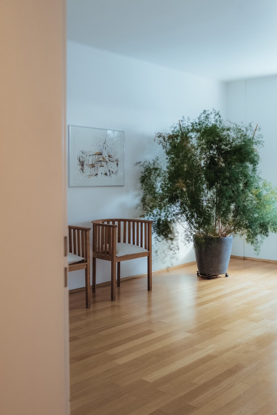 Zwei Stühle und eine Pflanze in der Praxis