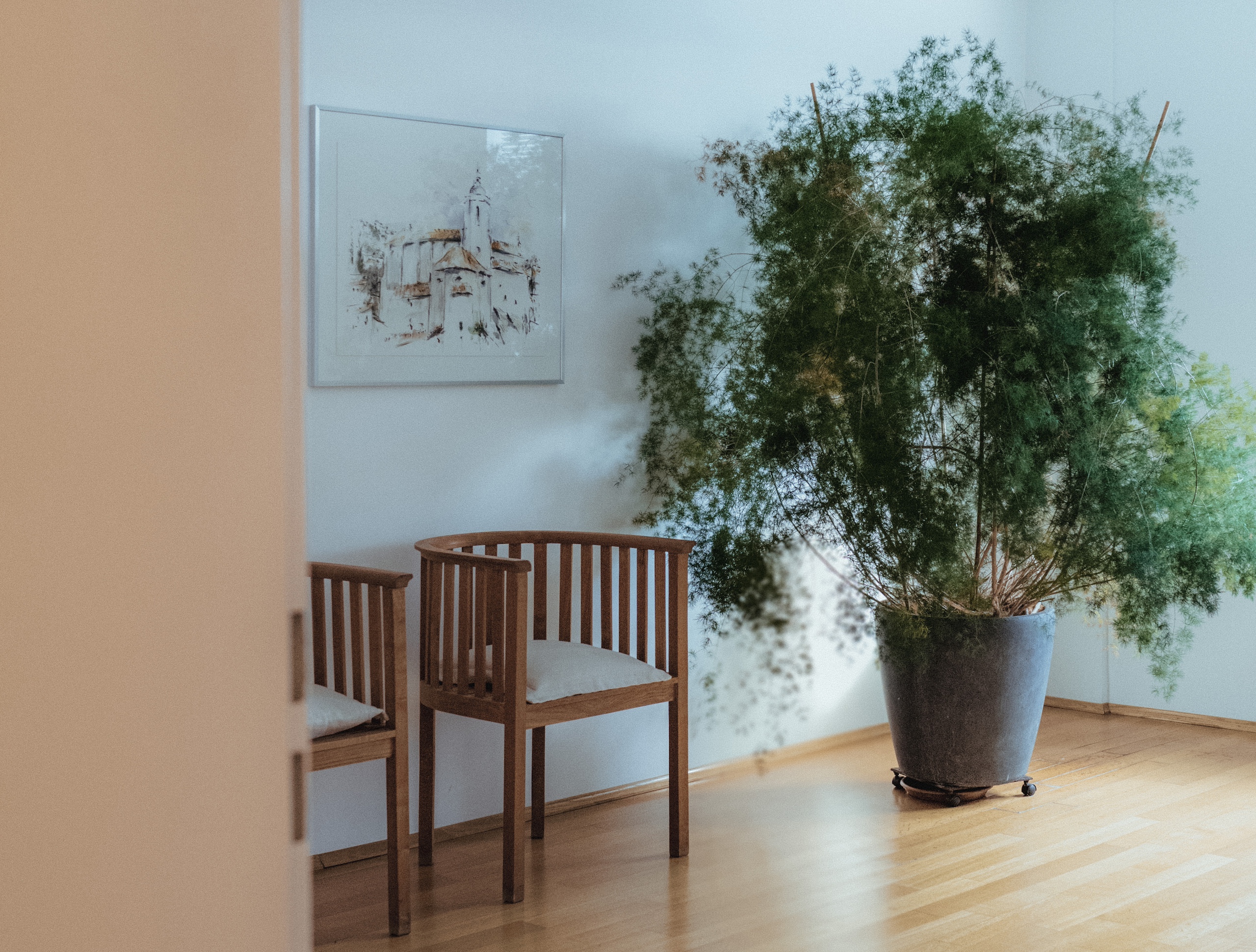 Dr. med. Sophia Kivelitz