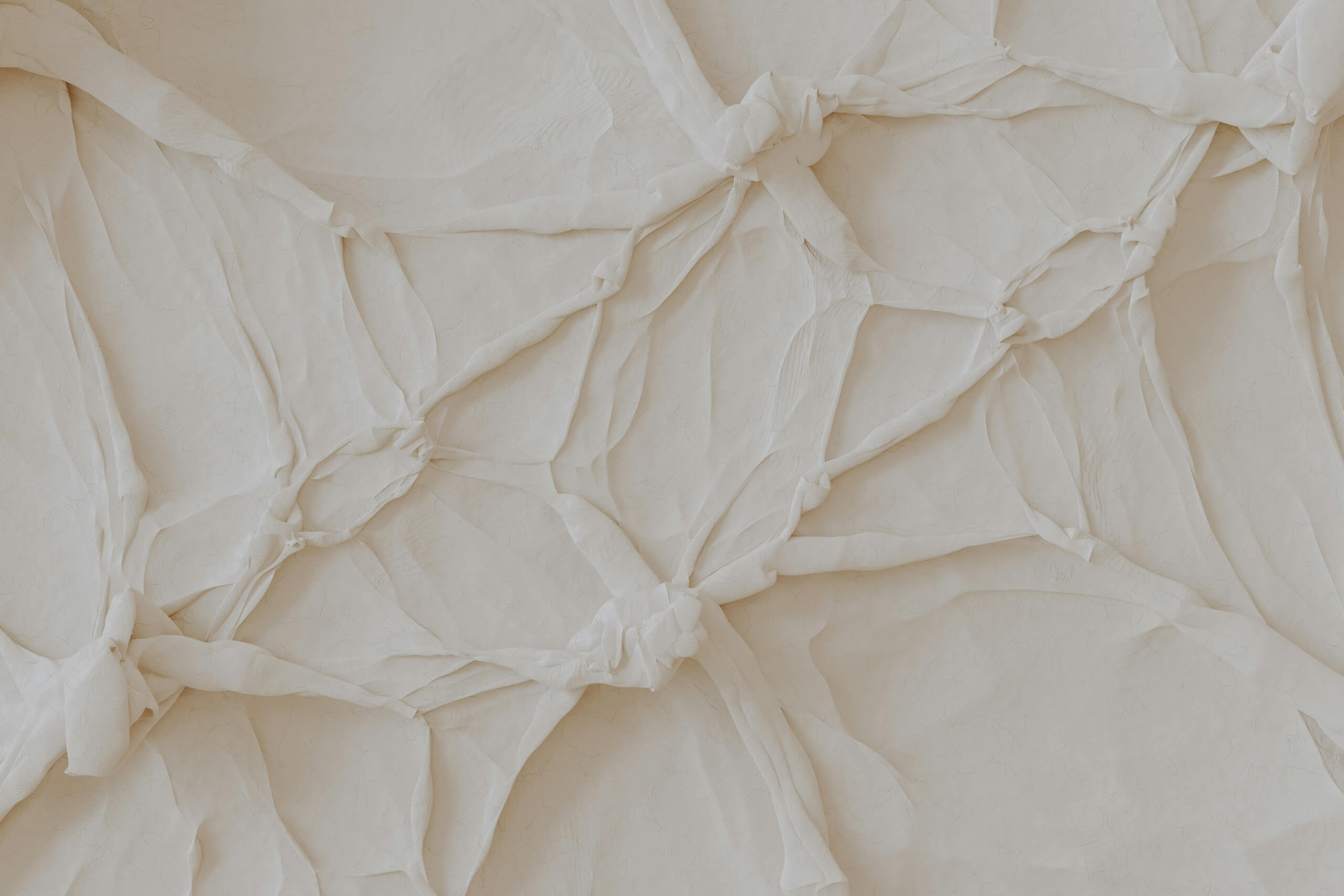 Ein elegantes, abstraktes Muster auf weißem Grund